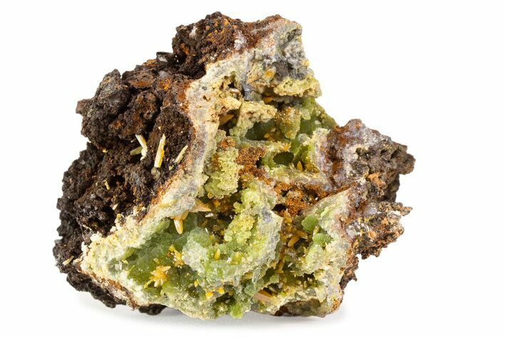 Wulfenite & Green Botryoidal Mimetite Association - Mexico #372086